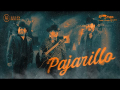 Letra Pajarillo (ft. Hermanos Vega JR)