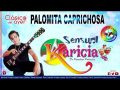 Letra Palomita caprichosa