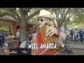 Letra Miel Amarga