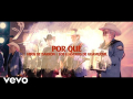 Letra ¿Por Qué? (ft. Los Llaneros De Guamuchil)