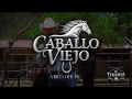 Caballo Viejo