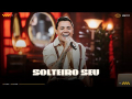 Felipe Araújo - Solteiro Seu