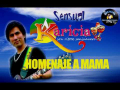 Homenaje a mamá