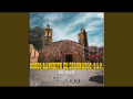 Grupo Con Todo - Amor Brutal