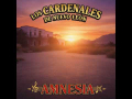 Cardenales de Nuevo León - Amnesia