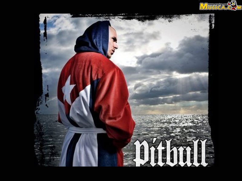 Fondo de pantalla de Pitbull