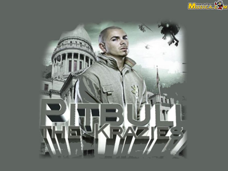 Fondo de pantalla de Pitbull