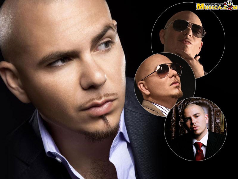 Fondo de pantalla de Pitbull