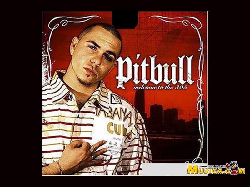 Fondo de pantalla de Pitbull