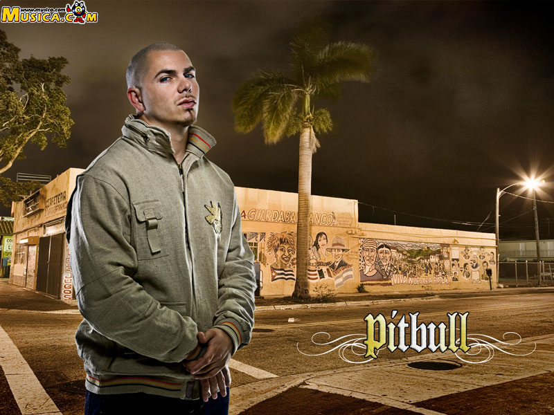 Fondo de pantalla de Pitbull