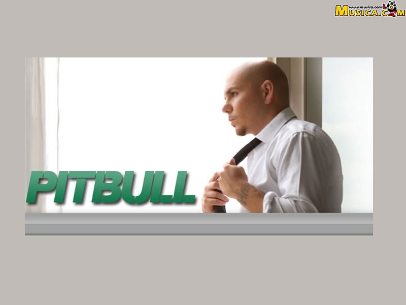 Fondo de pantalla de Pitbull