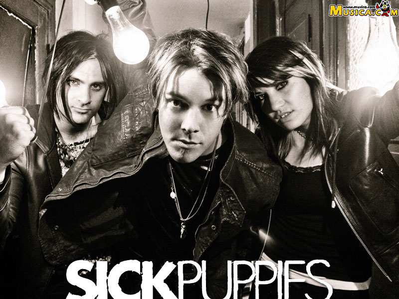 Fondo de pantalla de Sick Puppies