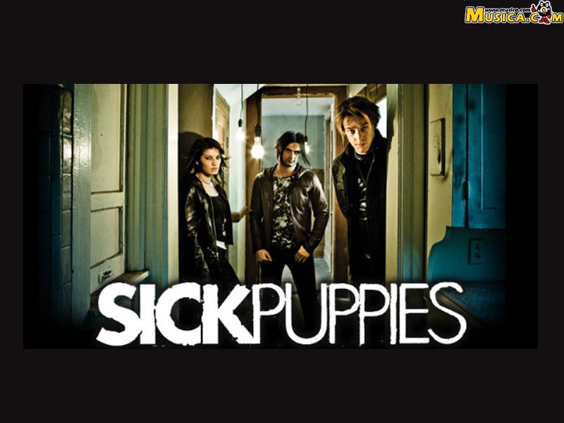 Fondo de pantalla de Sick Puppies