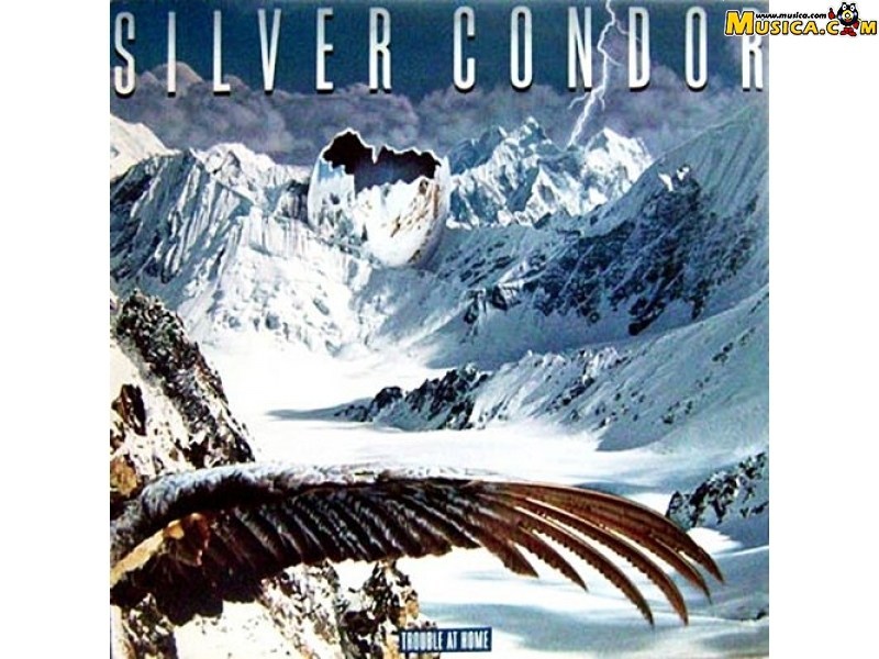 Fondo de pantalla de Silver Condor