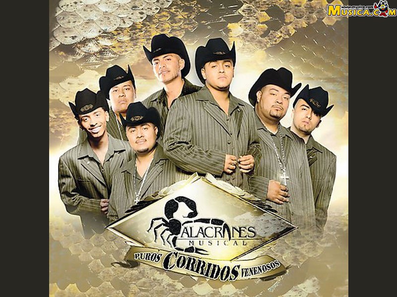 Fondo de pantalla de Alacranes Musical