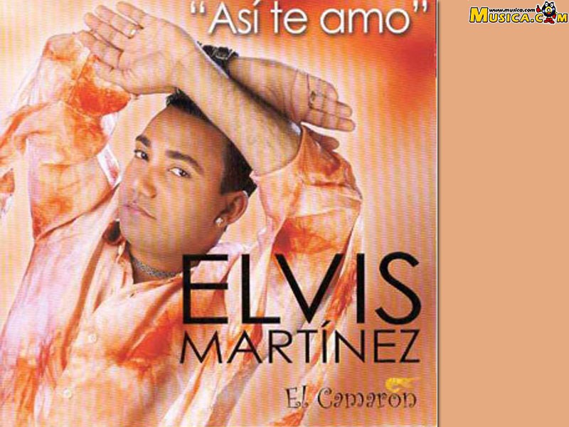 Fondo de pantalla de Elvis Martínez