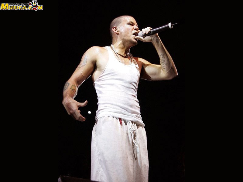 Fondo de pantalla de Calle 13