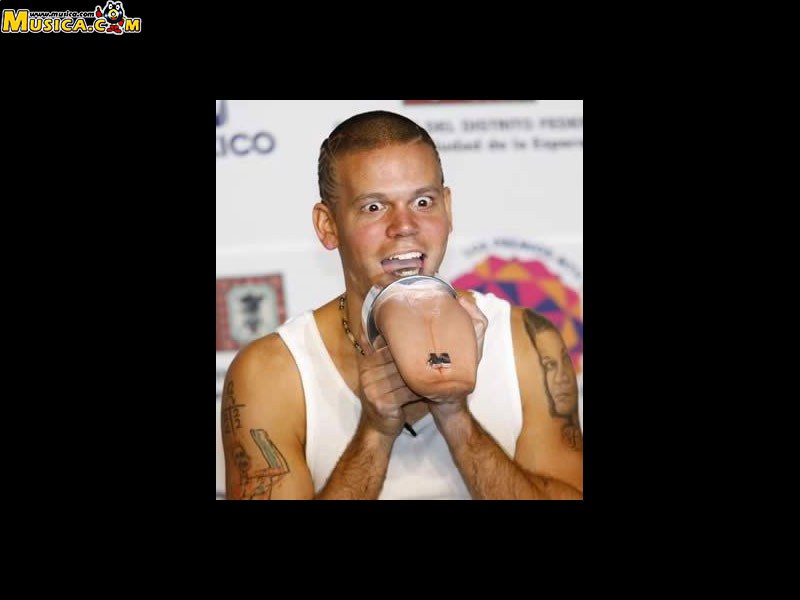 Fondo de pantalla de Calle 13