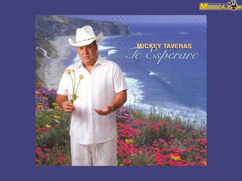 Fondo de pantalla de Mickey Taveras