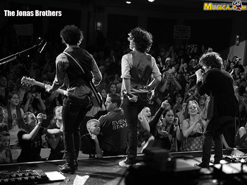 Fondo de pantalla de Jonas Brothers