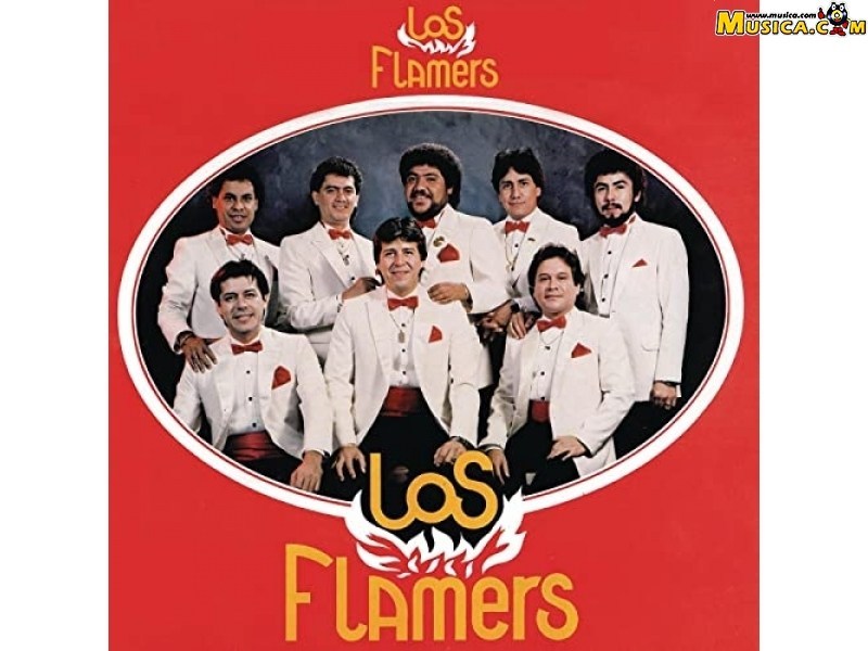 Fondo de pantalla de Los Flamers