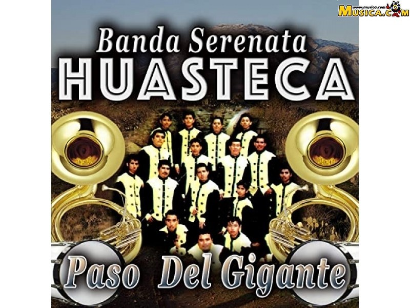 Fondo de pantalla de Banda Serenata Huasteca