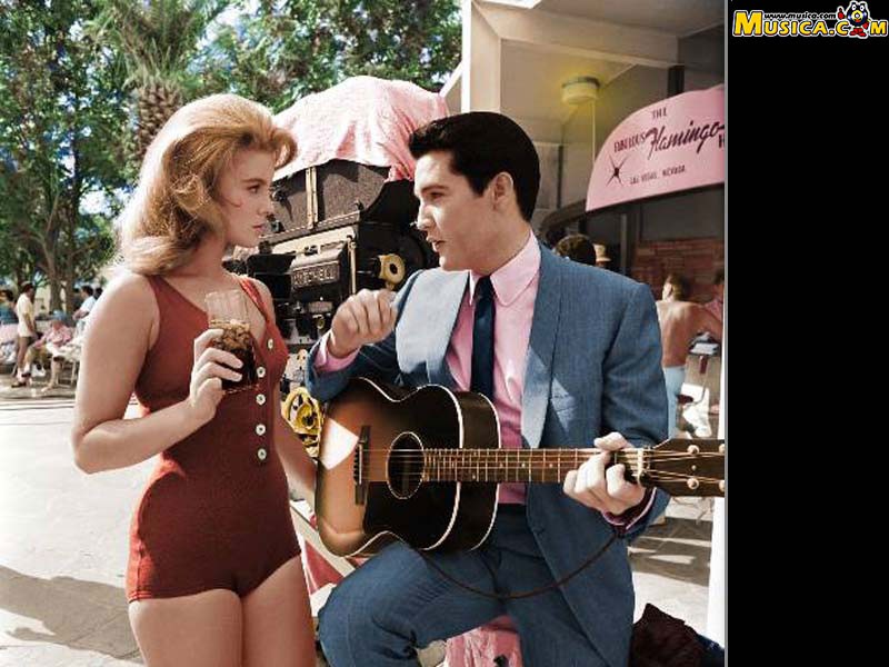 Fondo de pantalla de Elvis Presley