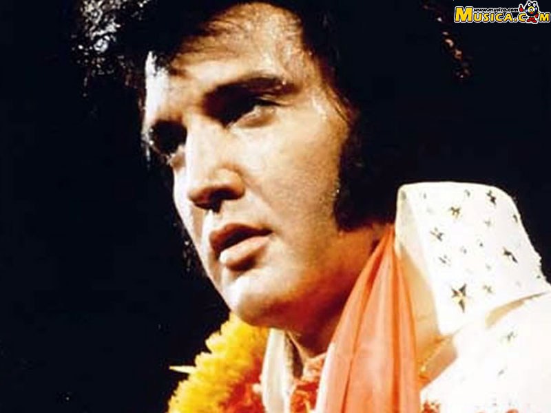 Fondo de pantalla de Elvis Presley