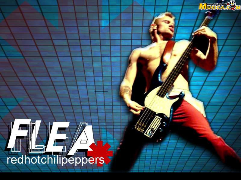 Fondo de pantalla de Red Hot Chili Peppers