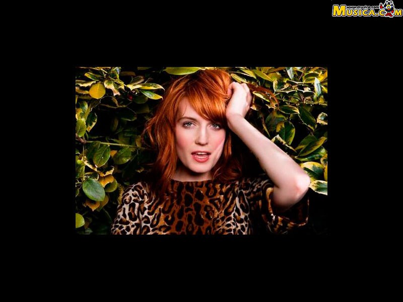 Fondo de pantalla de Florence + the machine