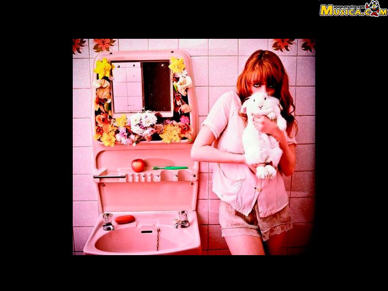 Fondo de pantalla de Florence + the machine