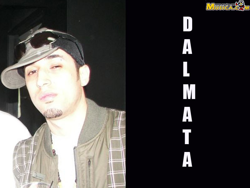Fondo de pantalla de Dálmata