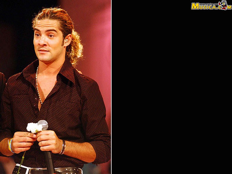 Fondo de pantalla de David Bisbal
