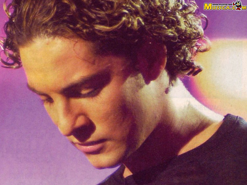 Fondo de pantalla de David Bisbal