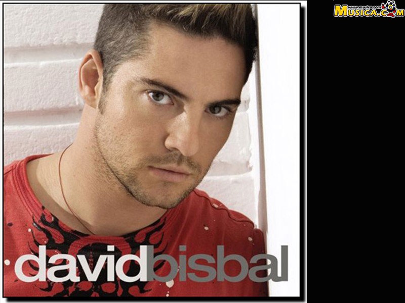 Fondo de pantalla de David Bisbal