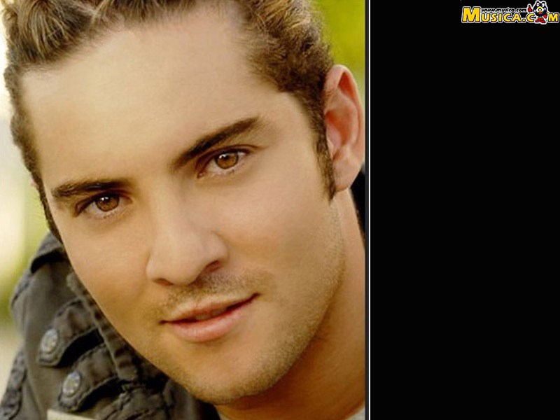 Fondo de pantalla de David Bisbal