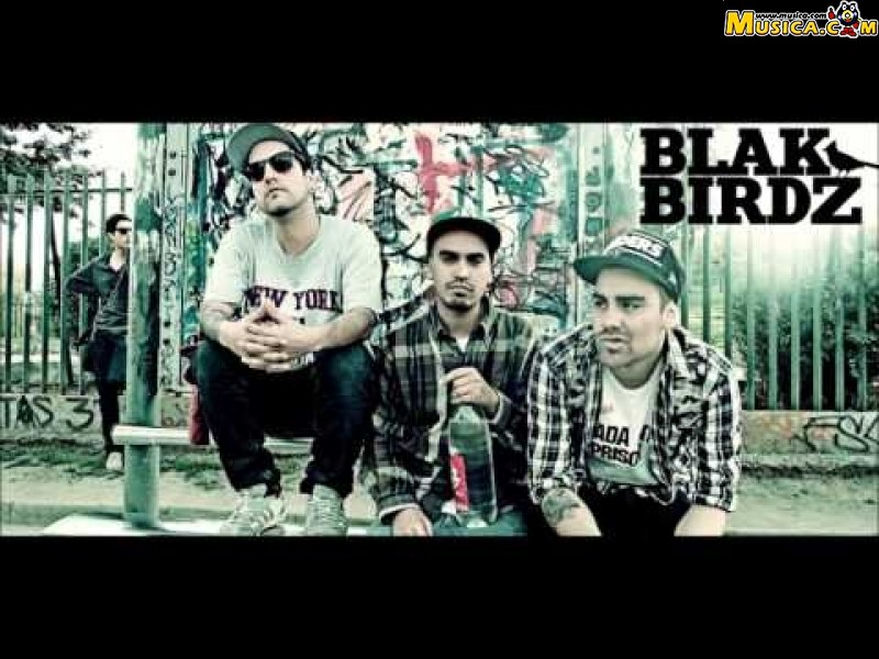 Fondo de pantalla de Blakbirdz