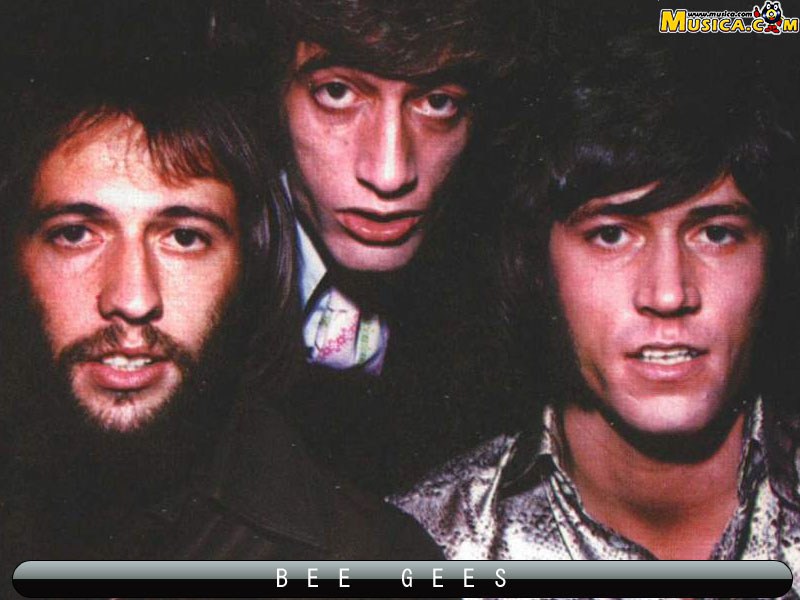 Fondo de pantalla de Bee Gees