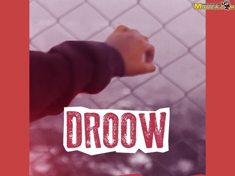 Fondo de pantalla de Droow