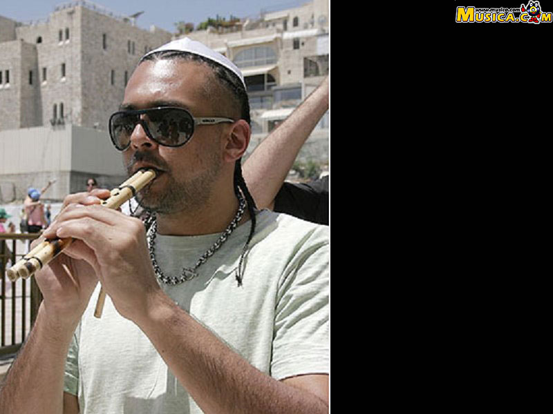 Fondo de pantalla de Sean Paul