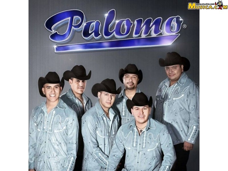 Fondo de pantalla de Grupo Palomo