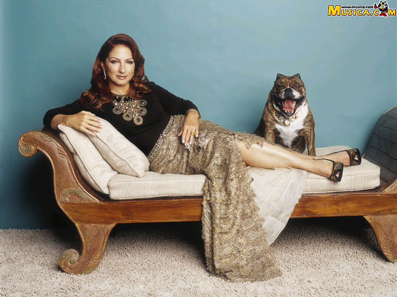 Fondo de pantalla de Gloria Estefan