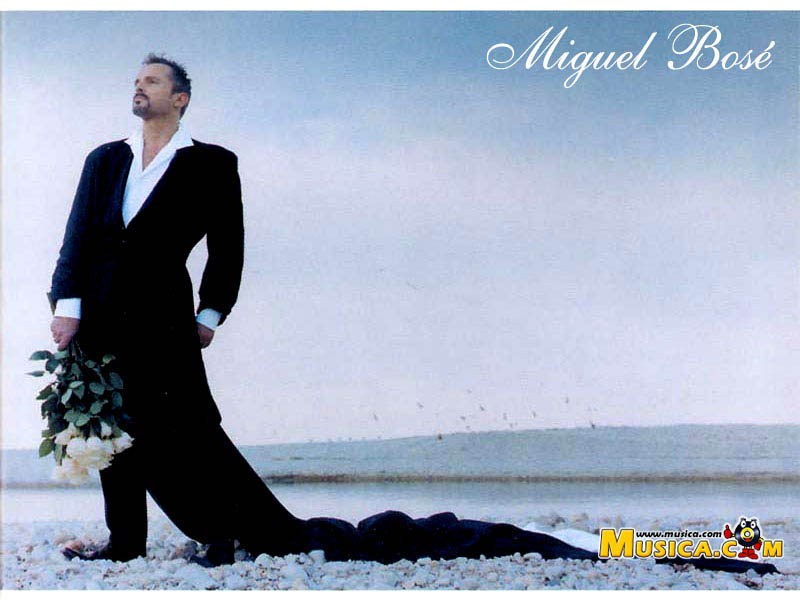 Fondo de pantalla de Miguel Bosé
