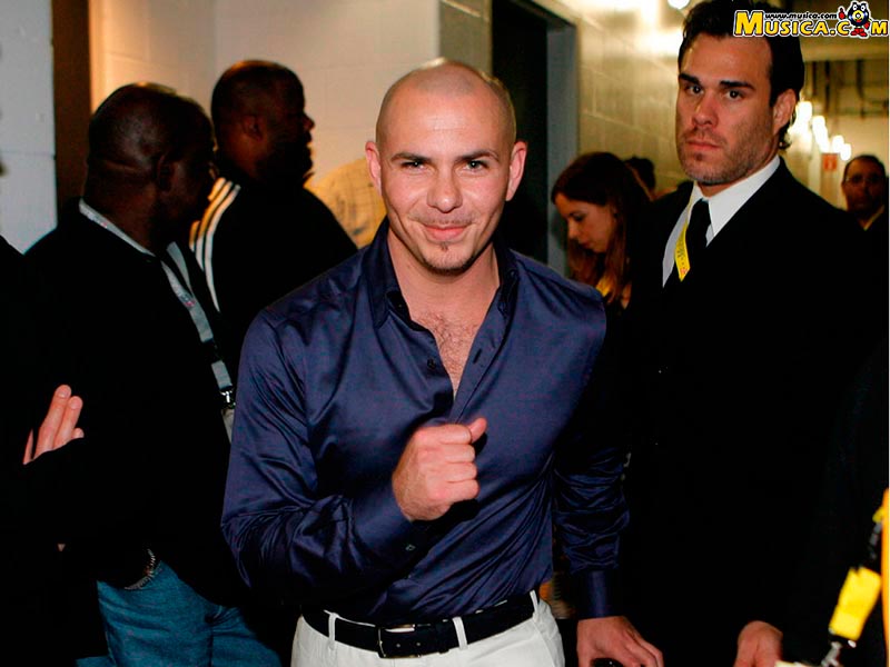 Fondo de pantalla de Pitbull