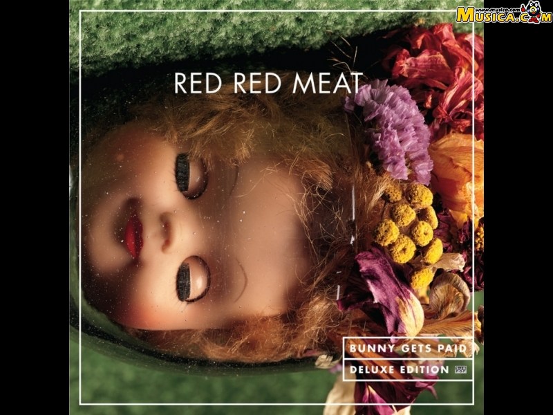 Fondo de pantalla de Red Red Meat