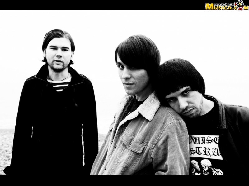 Fondo de pantalla de The Cribs