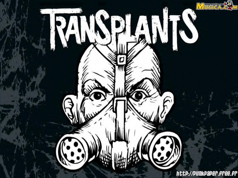 Fondo de pantalla de The Transplants