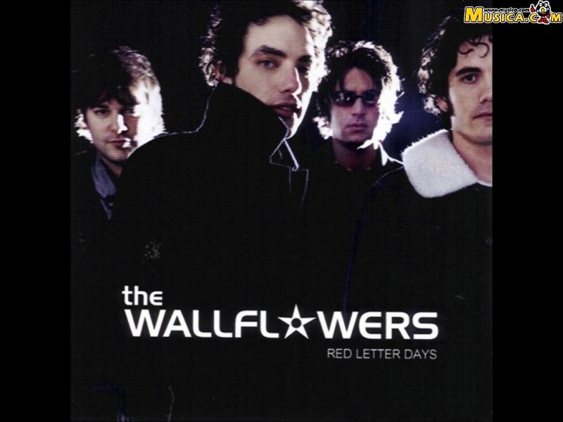 Fondo de pantalla de The Wallflowers