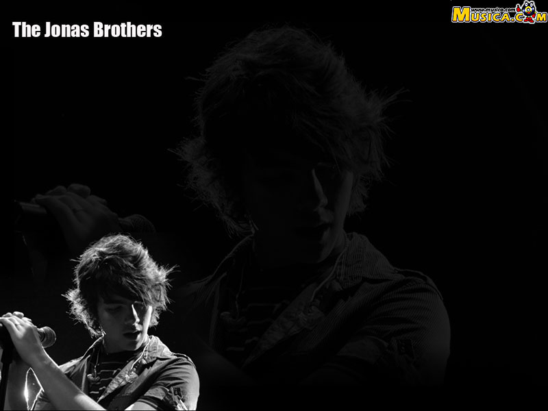 Fondo de pantalla de Jonas Brothers