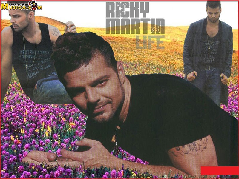 Fondo de pantalla de Ricky Martin